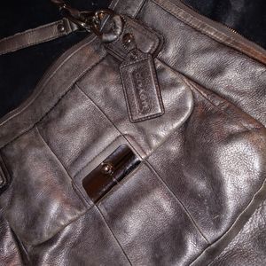 Metallic coach purse